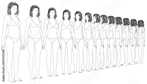 A line of women in  panties and bra stands together on a clean white background, vector illustration
