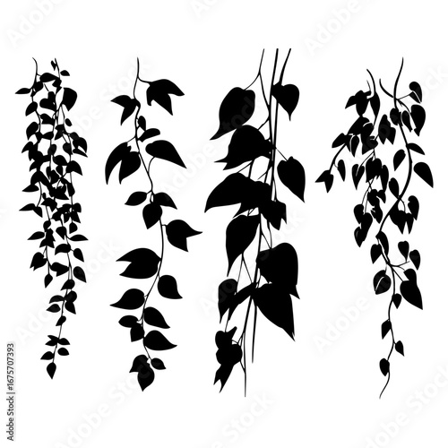 Vector illustration set of Jungle liana climbing plants