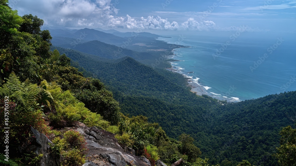 Naklejka premium Panoramic View: Lush Rainforest, Coastal Mountains, and Ocean