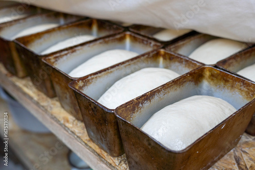 Freshly prepared dough rising in metal loaf pans on a wooden surface, showcasing the baking process and the art of bread making in a cozy kitchen environment