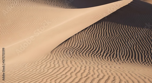 Rippled sand dunes create a textured landscape, with light and shadow playing across the undulating surface in a desert environment.