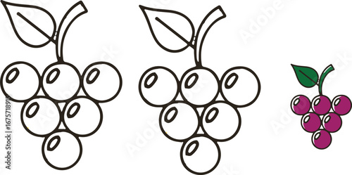 Grape bunch vector images fresh fruit and design elements