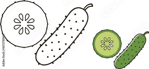Cucumber Slice and Whole Outline Vector Illustration