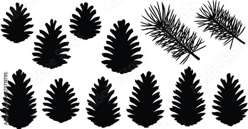 Silhouette pine cones, pine needles, conifer tree elements, botanical illustration, forest nature shapes, evergreen plant parts, black vector design set