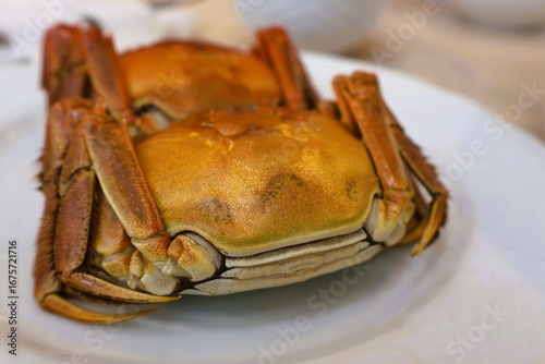 Photography Shanghai crabs can be eaten in Japan in the fall