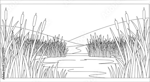 Reed pond with transparent background