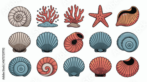 Collection of Colorful Hand Drawn Seashells and Coral on White Background starfish marine life