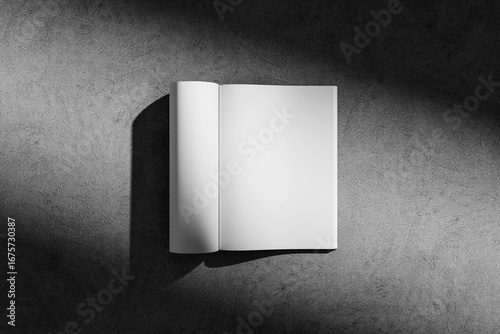 Blank Open Book with Empty Pages