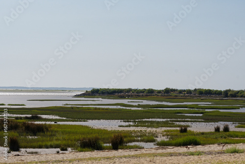 bassin d'arcachon à maréee basse, entre lanton et cassy
