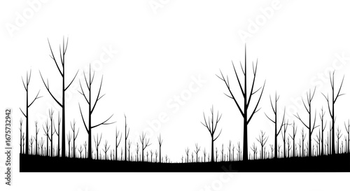 Silhouette of leafless trees with transparent background