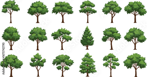 Flat vector illustration of twenty different trees, various shapes and foliage, deciduous and conifer, landscape design elements, nature icon set, greenery collection