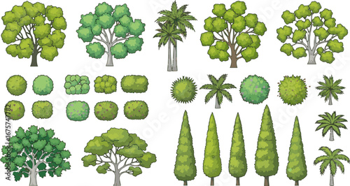 Create a kinds of deferent architecture drawing plant tree top view, Includes greenery, bushes, for landscape plan and architecture layout drawing, elements for environment and garden vector art color