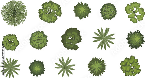  Create a kinds of deferent Vector tree top view isolated on white background for landscape plan and architecture layout drawing, elements for environment and garden vector art with white background..