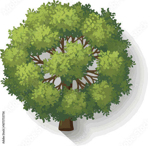 Create a Vector tree top view isolated on white background for landscape plan and architecture layout drawing, elements for environment and garden vector art color with white background..