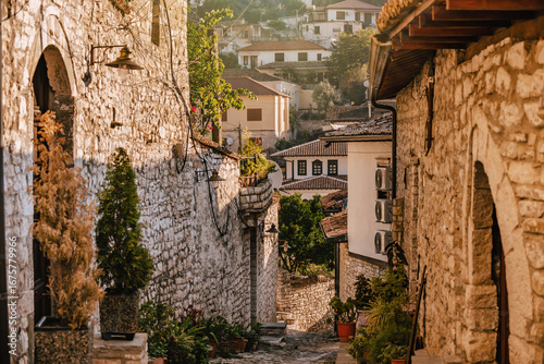 Принти на полотні Old Cobbled Street in Mangalem District of Berat