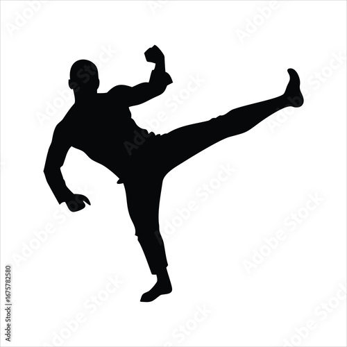 Silhouette of a man performing a martial arts kick