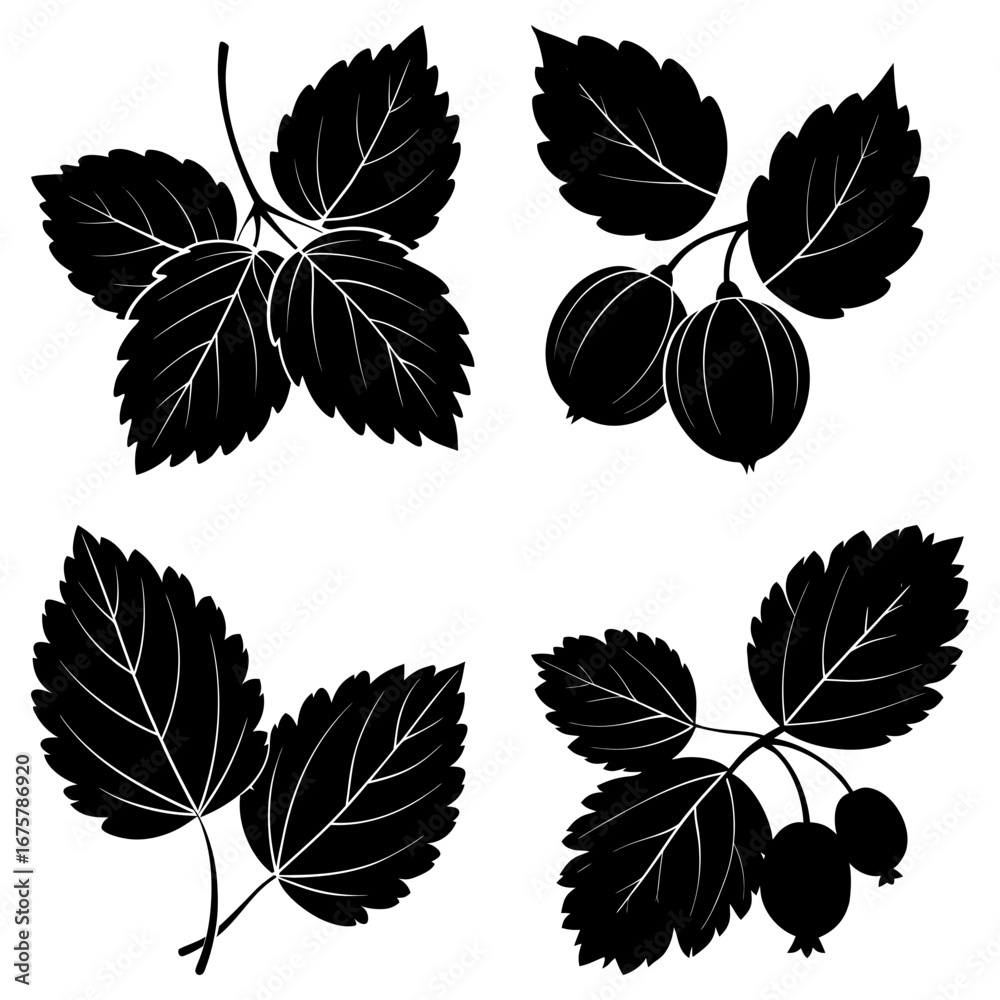 Obraz premium Black and white illustration of four berry branches with leaves and berries in silhouette style design