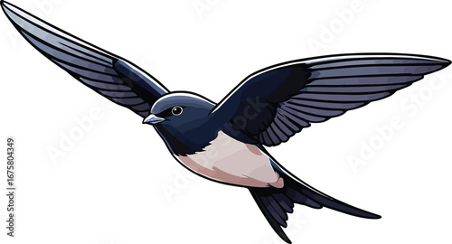 Cute cartoon a illustrator vector swift