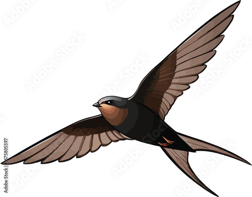 Cute cartoon a illustrator vector swift