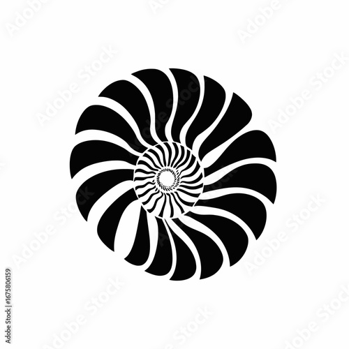 Striking monochrome nautilus shell abstract, creating an artistic, minimalist design silhouette
