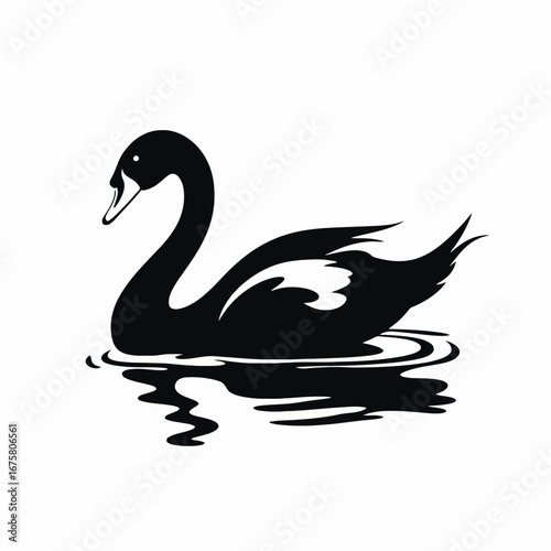 Elegant black swan gliding across the water, a graceful avian silhouette