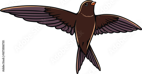 Cute cartoon a illustrator vector swift