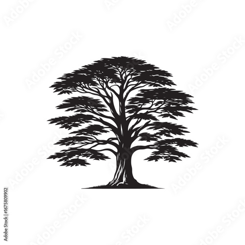 Cedar tree Vector (2).eps