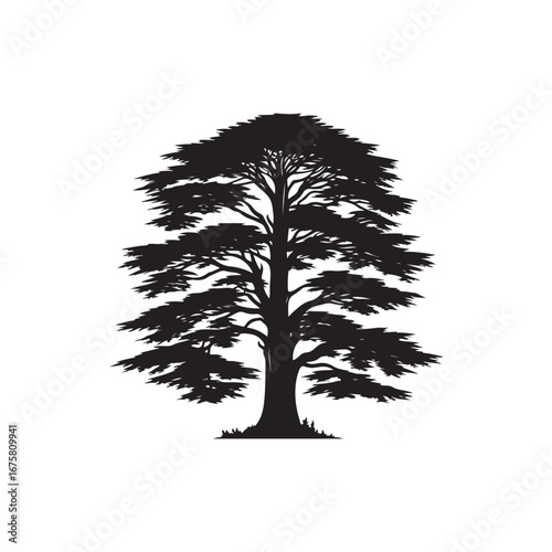 Cedar tree Vector (4).eps