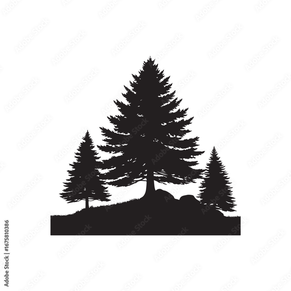 Fototapeta premium Douglas Fir tree Vector (4).eps