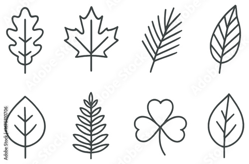 Nature leaves linear icon set. featuring oak, maple, palm, birch, circular, fern, clover, and elliptical symbols