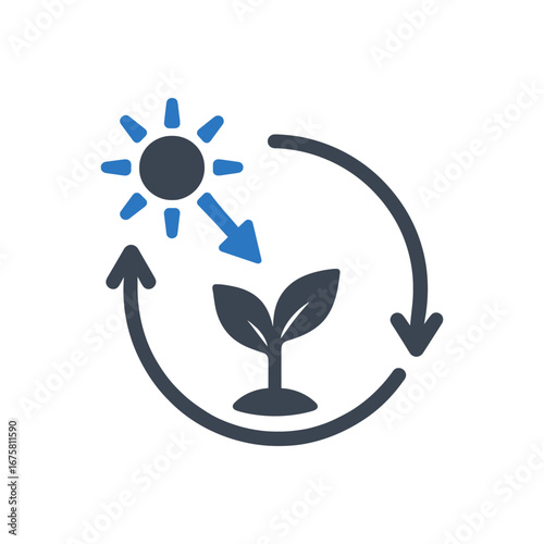 Photosynthesis life cycle icon
