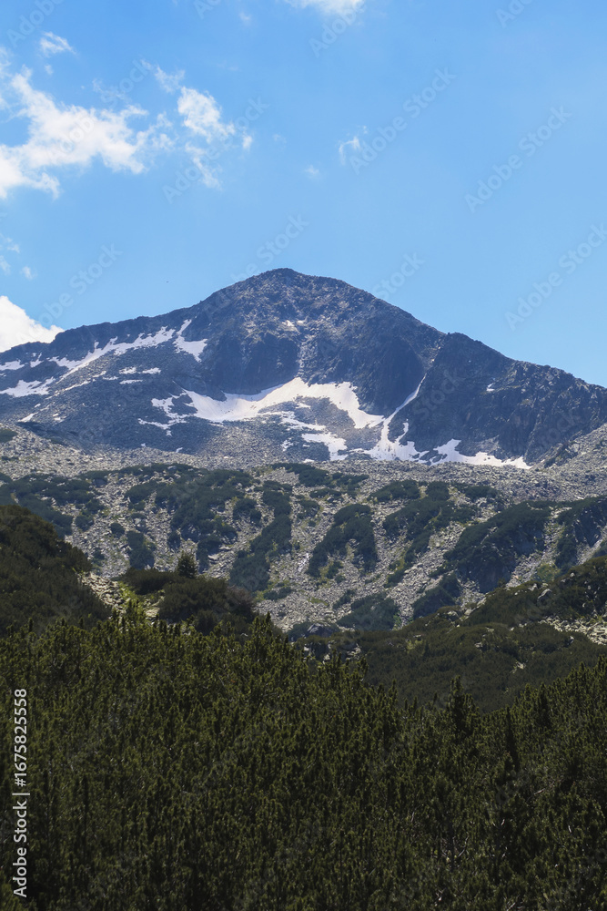 Obraz premium A snow-capped peak in Pirin National Park, Bulgaria, with rugged, snow & rock-covered slopes and a dense evergreen forest in the foreground under a bright blue sky.