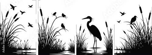 Wetland birds silhouette illustration with cattails, heron, flying birds, marsh vegetation, nature scene, black and white vector art
