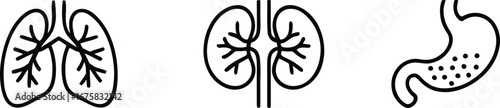 Lungs, Kidneys, Stomach: Simple Line Art Icons for Medical, Health, and Anatomy Concepts, lungs, kidneys, stomach, human organs, internal organs, anatomy, medical illustration, line art
