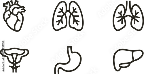 Simple Line Icons: Human Internal Organs; Heart, Lungs, Stomach, Liver, Uterus; Medical Illustration, heart, lungs, liver, stomach, uterus, human organs, anatomy, medical icons, line art