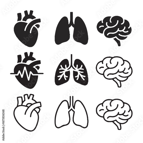 Black and white icons of human heart lungs and brain in rows heart icon lung icon