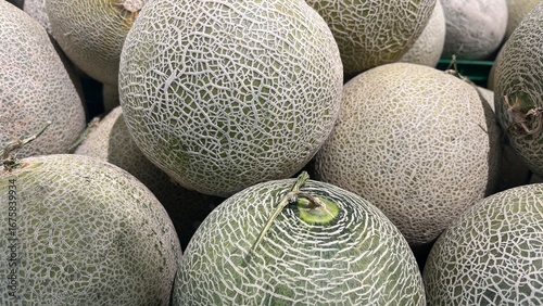 Obraz na plátne A close-up shot of a pile of cantaloupe melons.