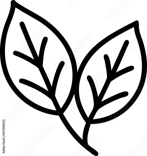 Vector art of two simple outline leaves on a