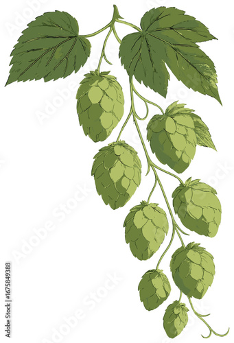 Nature flat icon set. featuring hops, plant, leaves, and botanical symbols