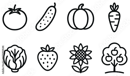 Garden produce linear icon set. featuring tomato, cucumber, pumpkin, carrot, cabbage, strawberry, sunflower, apple tree