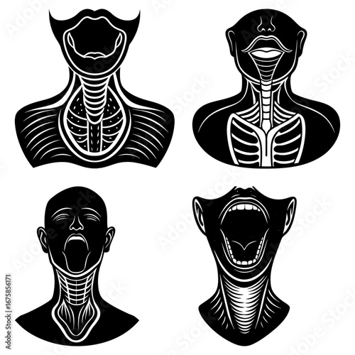 Anatomical illustrations of human throats and mouths in black and white showing inner structures anatomy