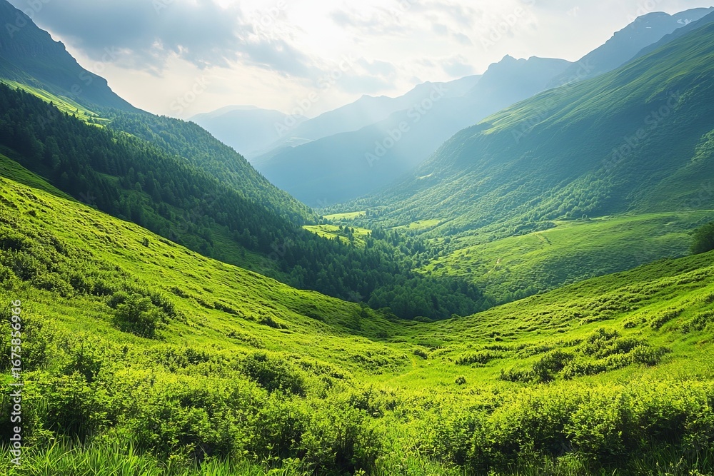 Fototapeta premium Green valley surrounded by mountains under blue sky