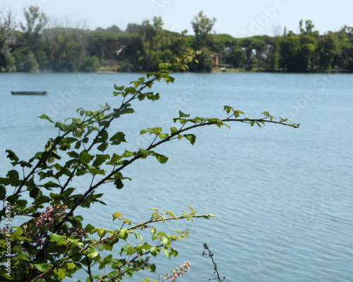 Oasi di Porto, Fiumicino