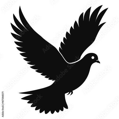 dove on white background