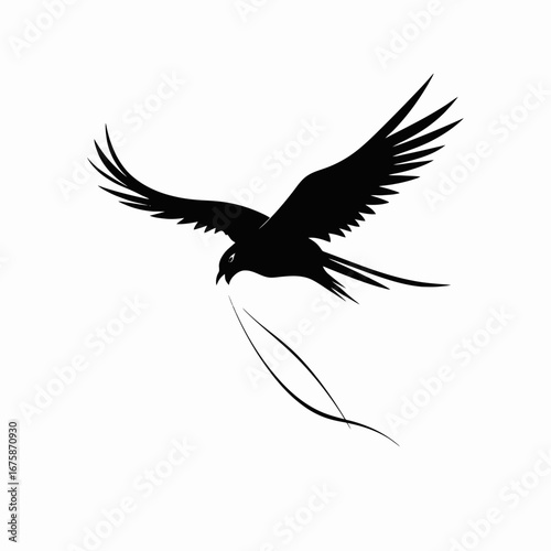 Majestic exotic bird carrying lines high up in the sky silhouette