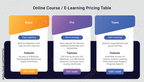 Online Course or E-Learning Pricing Table Template Design