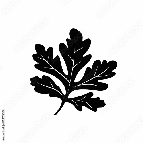 Bold graphic design element showcasing a single leaf in striking silhouette