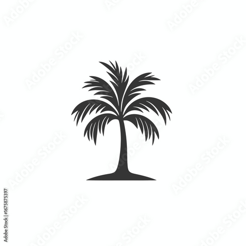 Isolated single palm tree tropical black and white graphic design silhouette