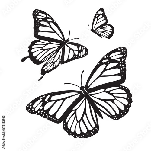 Butterflies in flight, showcasing the beauty of nature isolated on white background