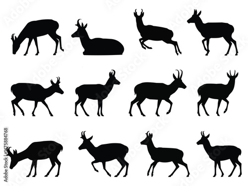 Collection of silhouette prongs deer in various poses vector